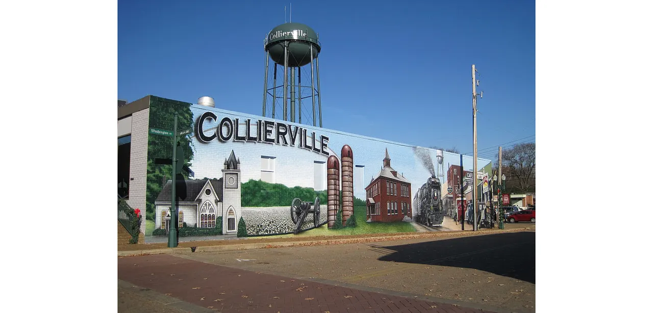 Carrington at Schilling Farms Apartments