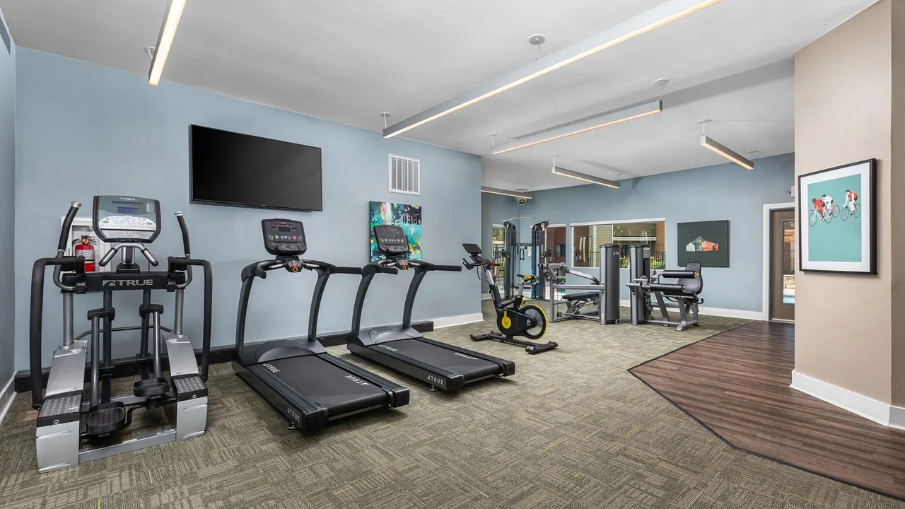 Terra Vista at the Park Apartments