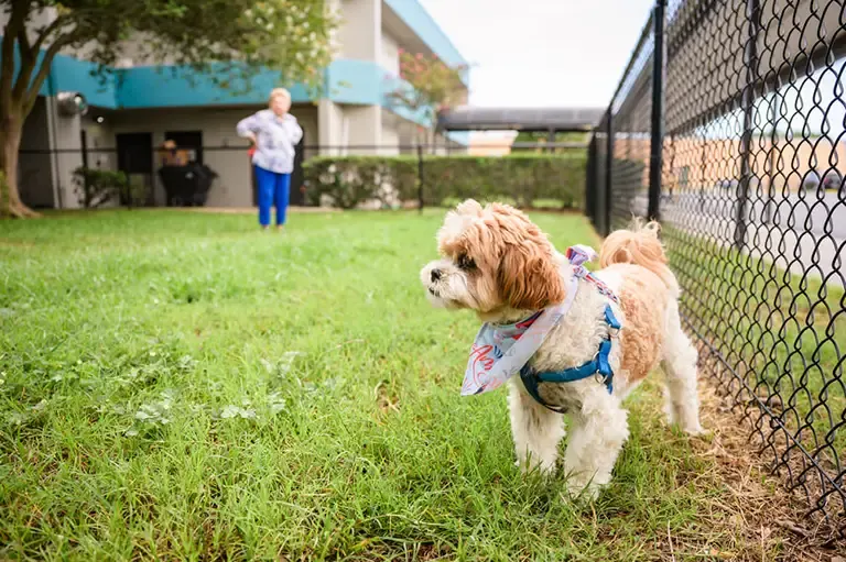 Highland Lakes Assisted Living - A St. Mark Village Community