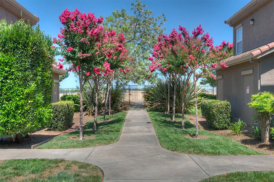 Stone Lake Apartments
