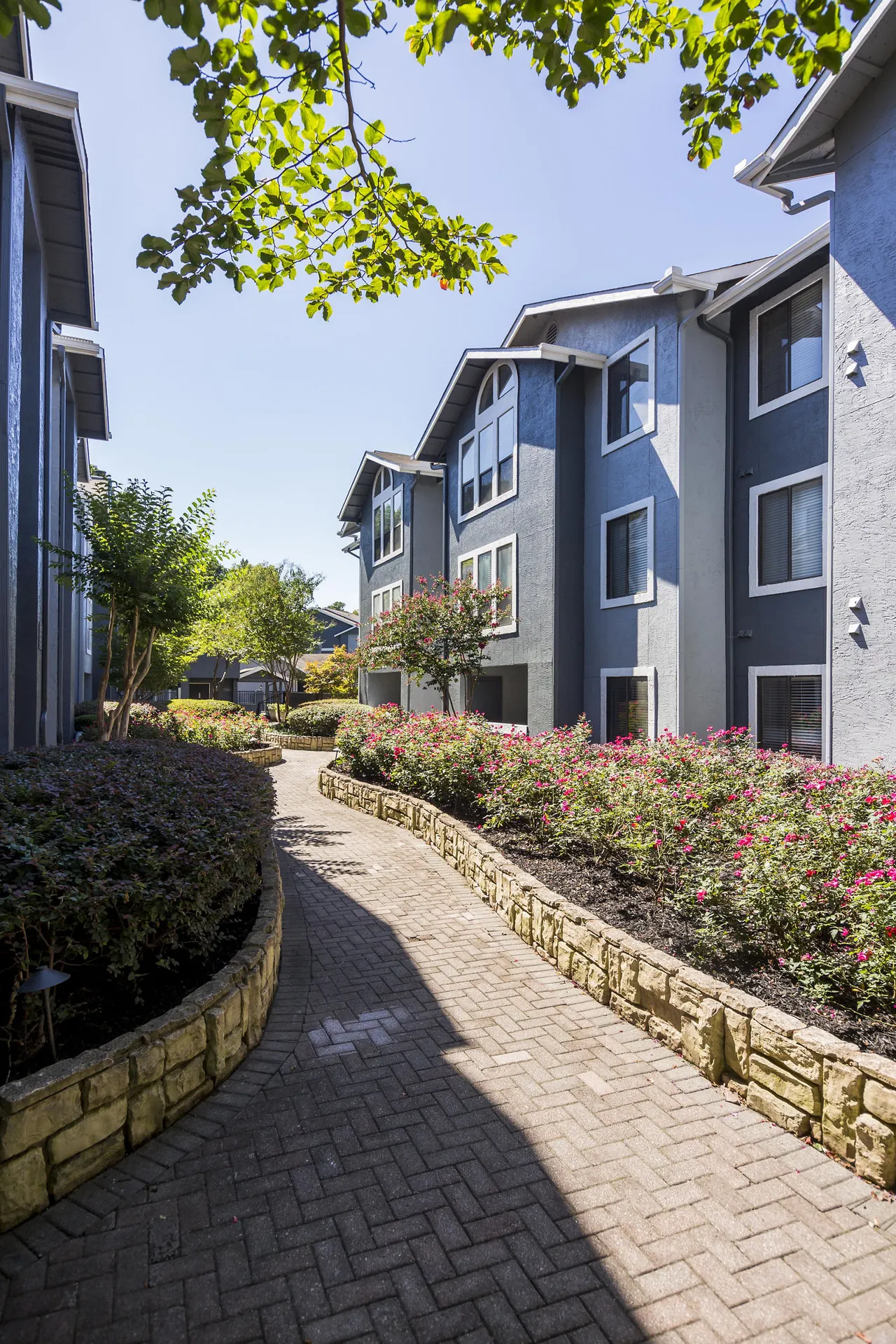Aventura Dunwoody