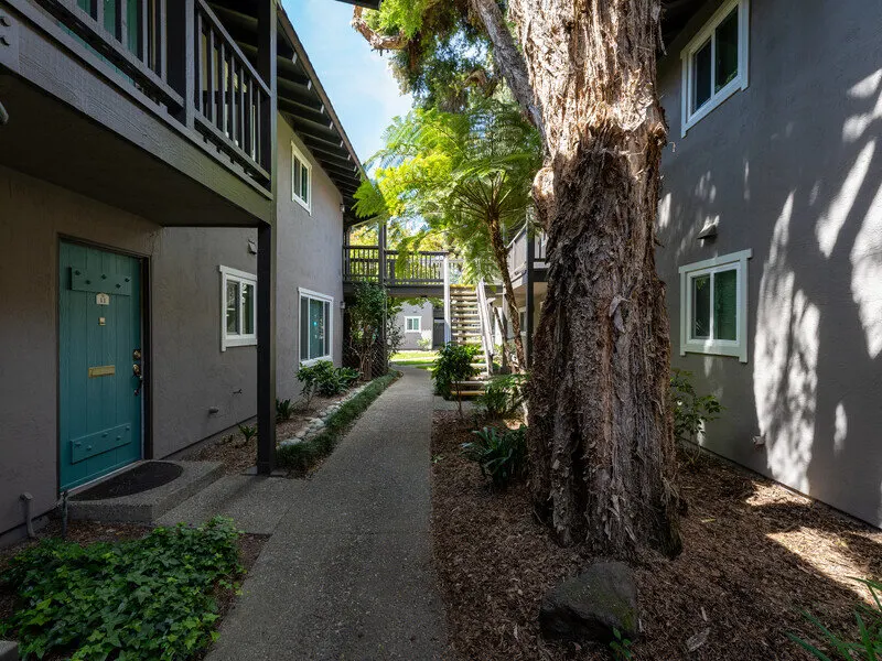 Casa Arroyo Apartments