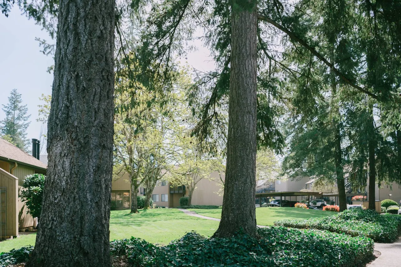 Northgreen Apartments