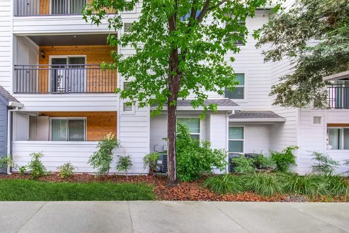 The Hazelwood Apartments