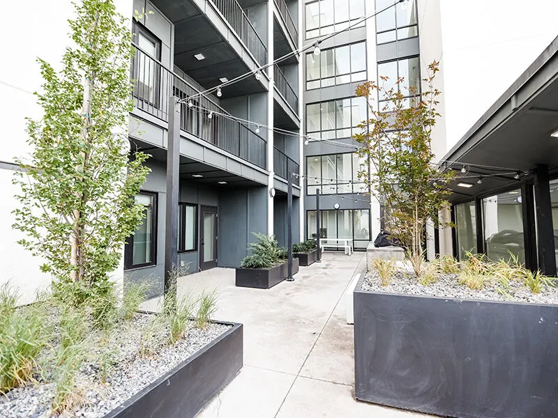theCHARLI Apartments