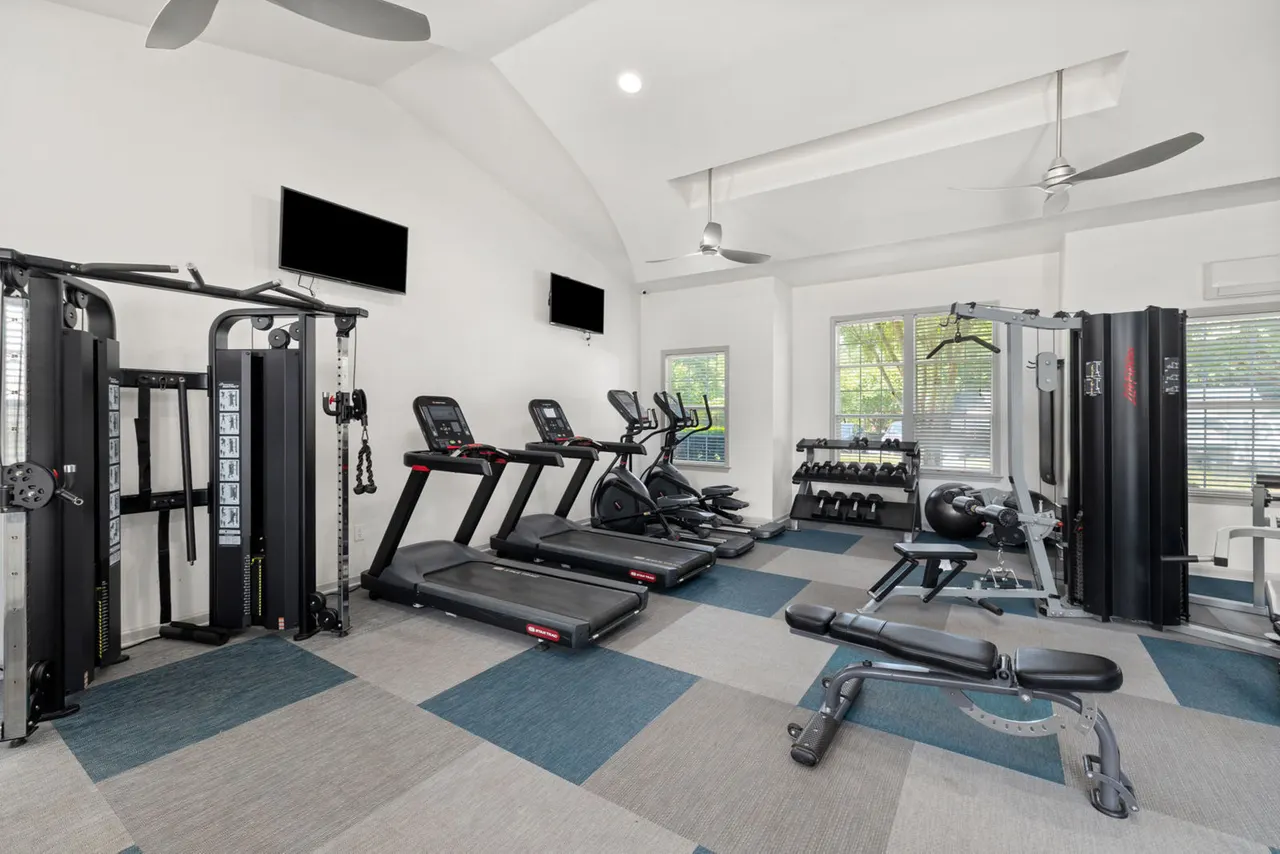 Avana 55Twelve