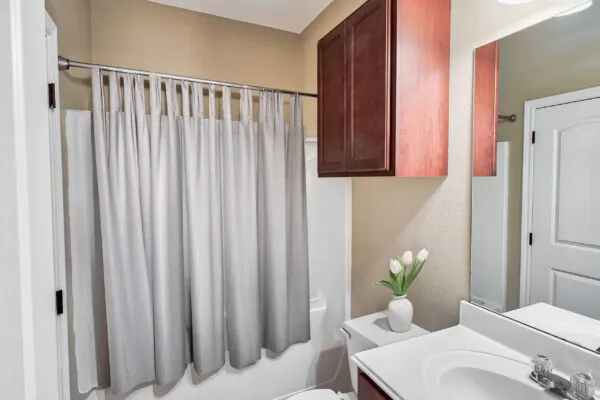 Wolf Creek Condos