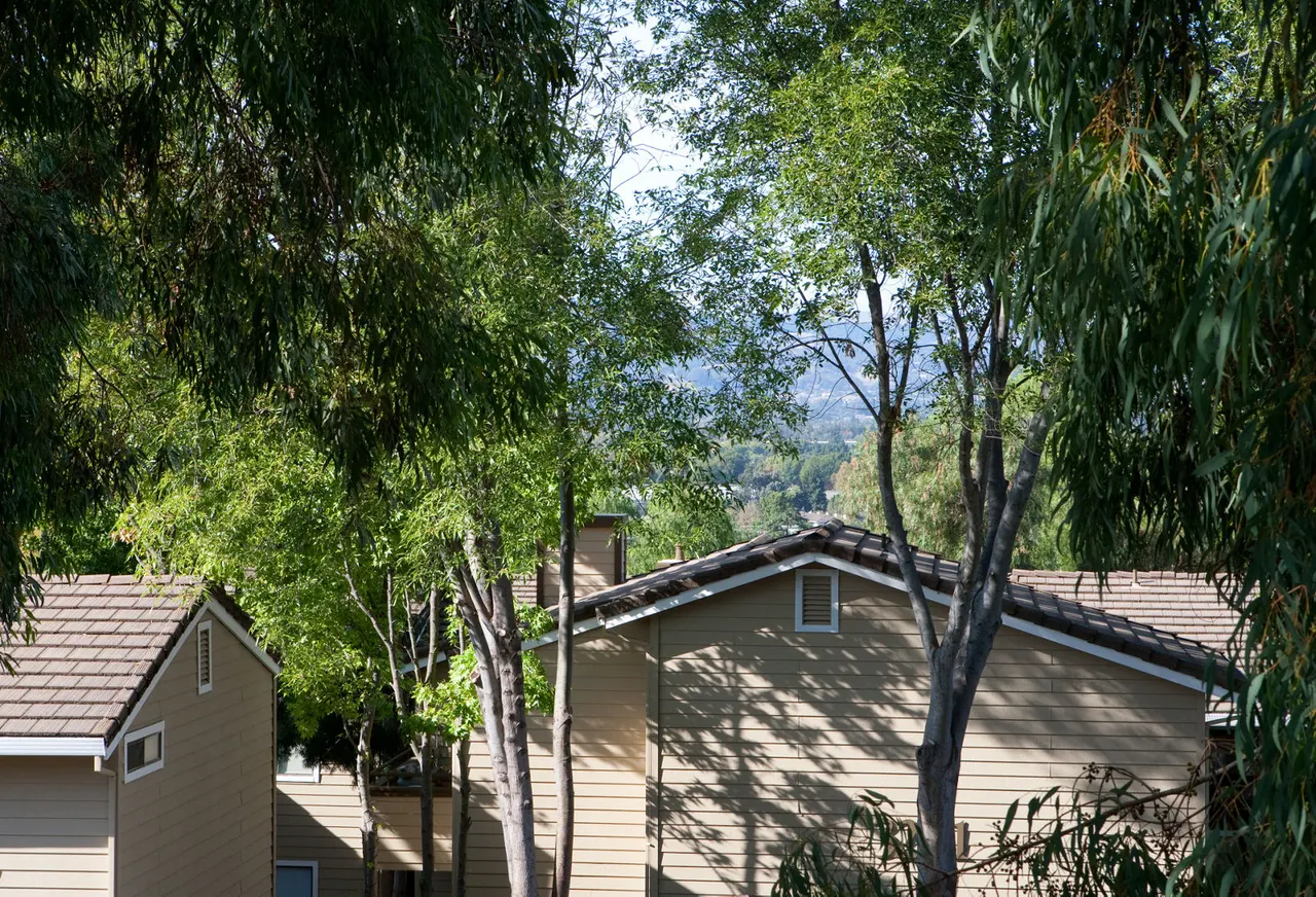 Lime Ridge