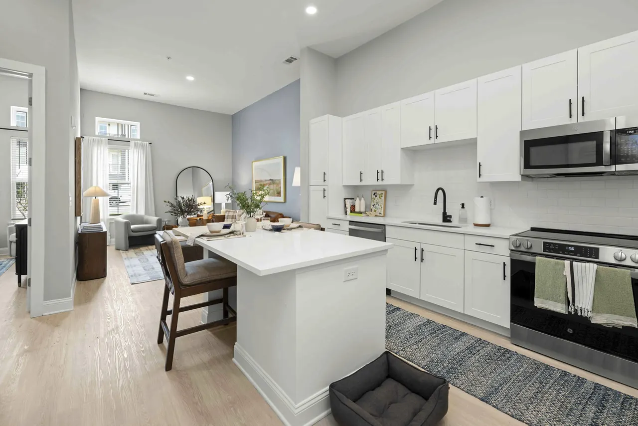 Solis Birkdale Apartments and Townhomes