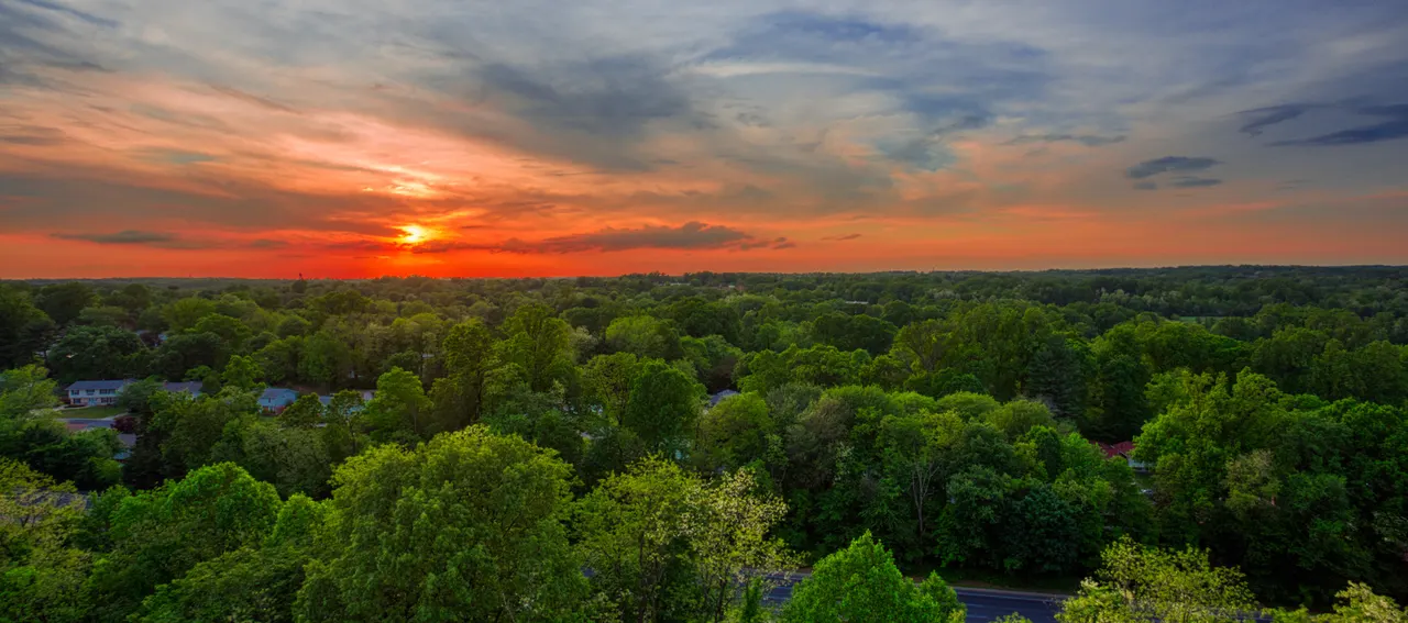 White Oak Towers Apartments