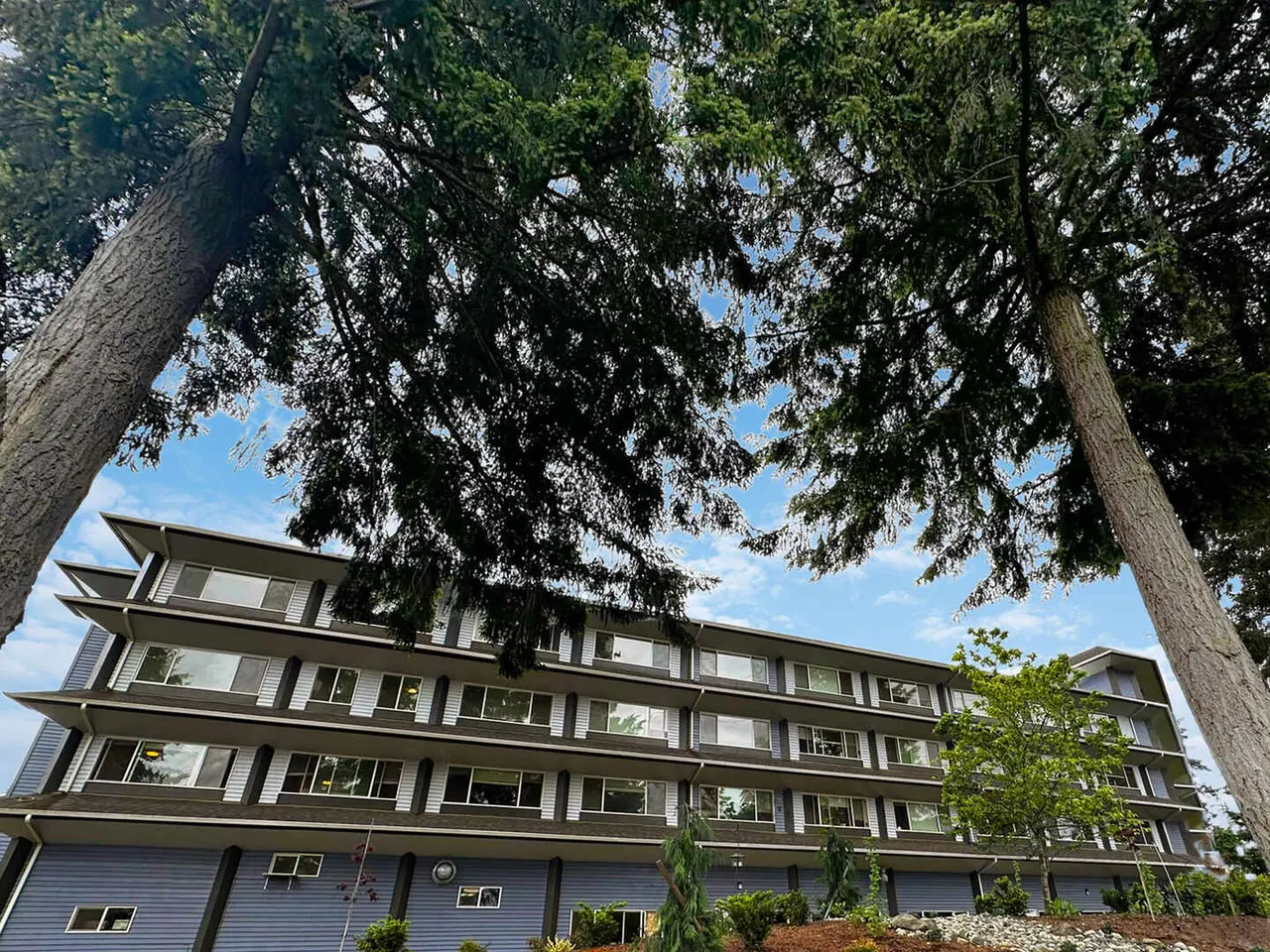 The Village Senior Living