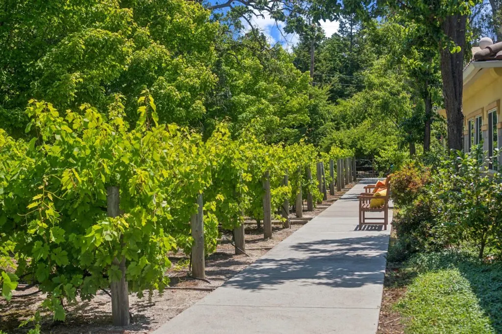 Cogir On Napa Road