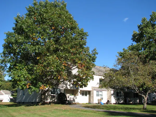 Summer Brook Apartments