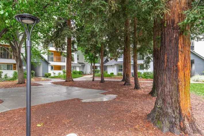 The Hazelwood Apartments