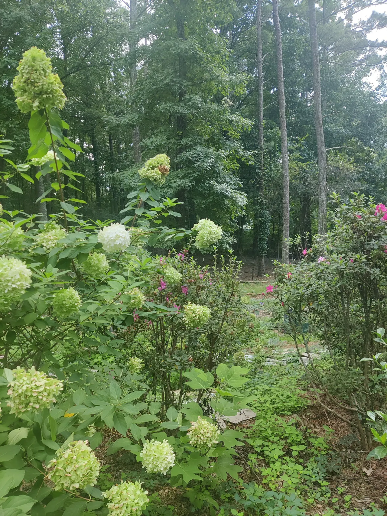 The Gardens at the Lake