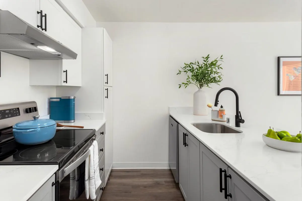 Saddlebrook Apartments