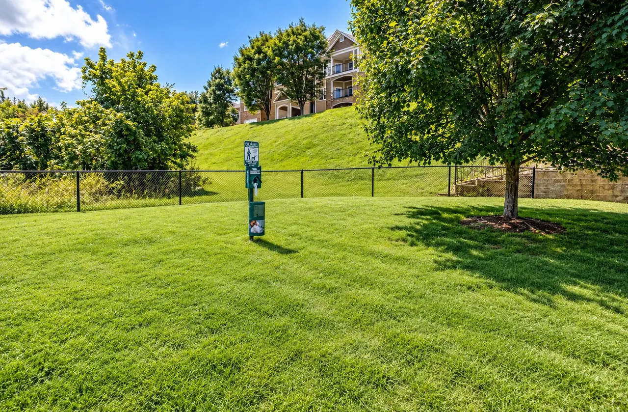 Legacy Pointe Apartments