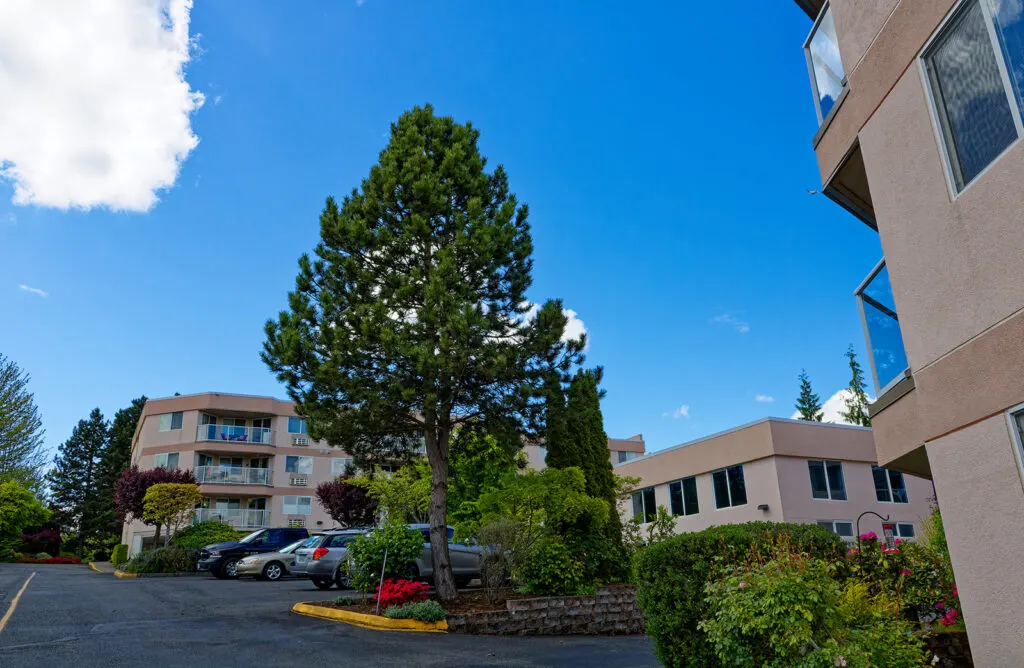 Boulevard Park Place