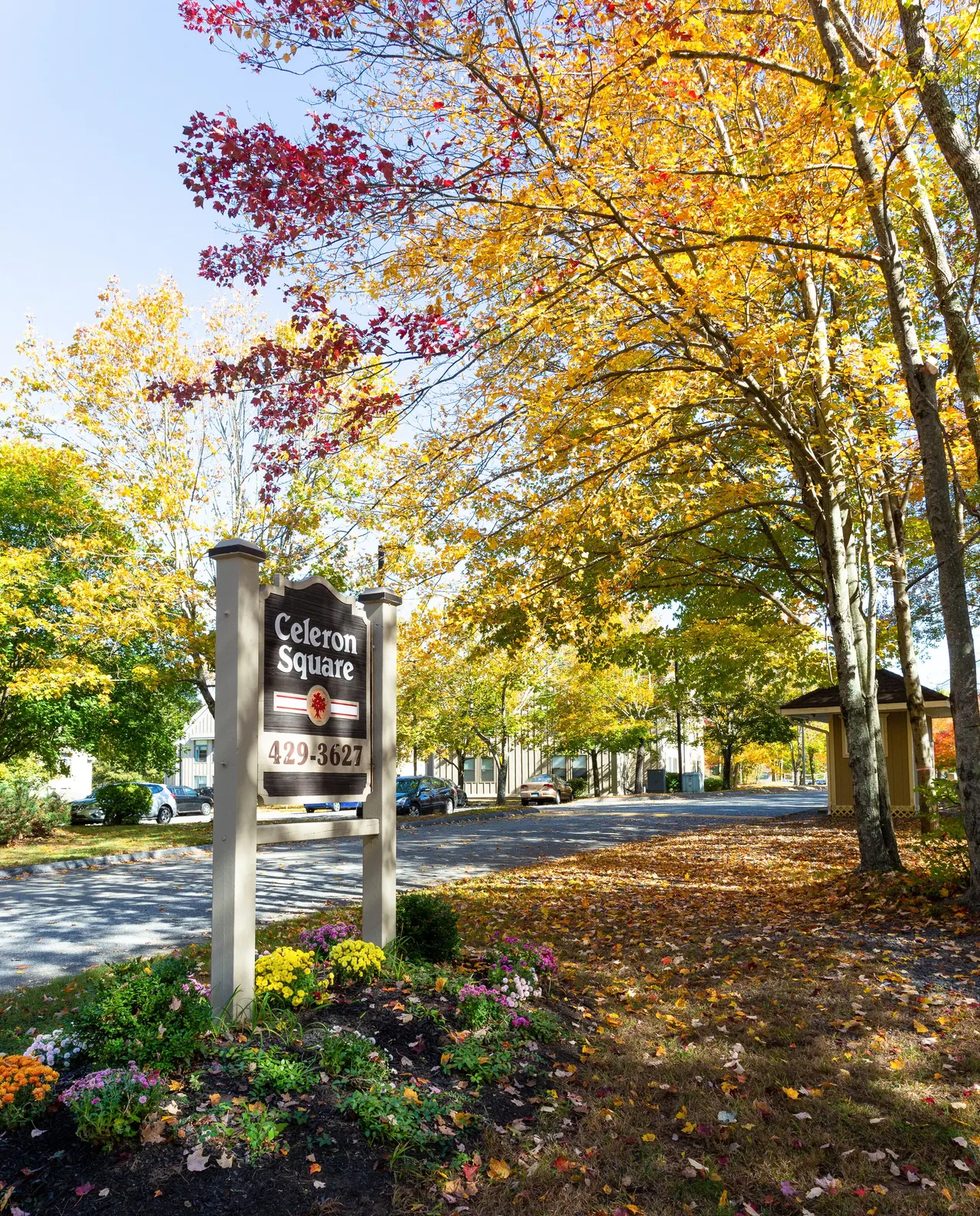 Celeron Square Apartments