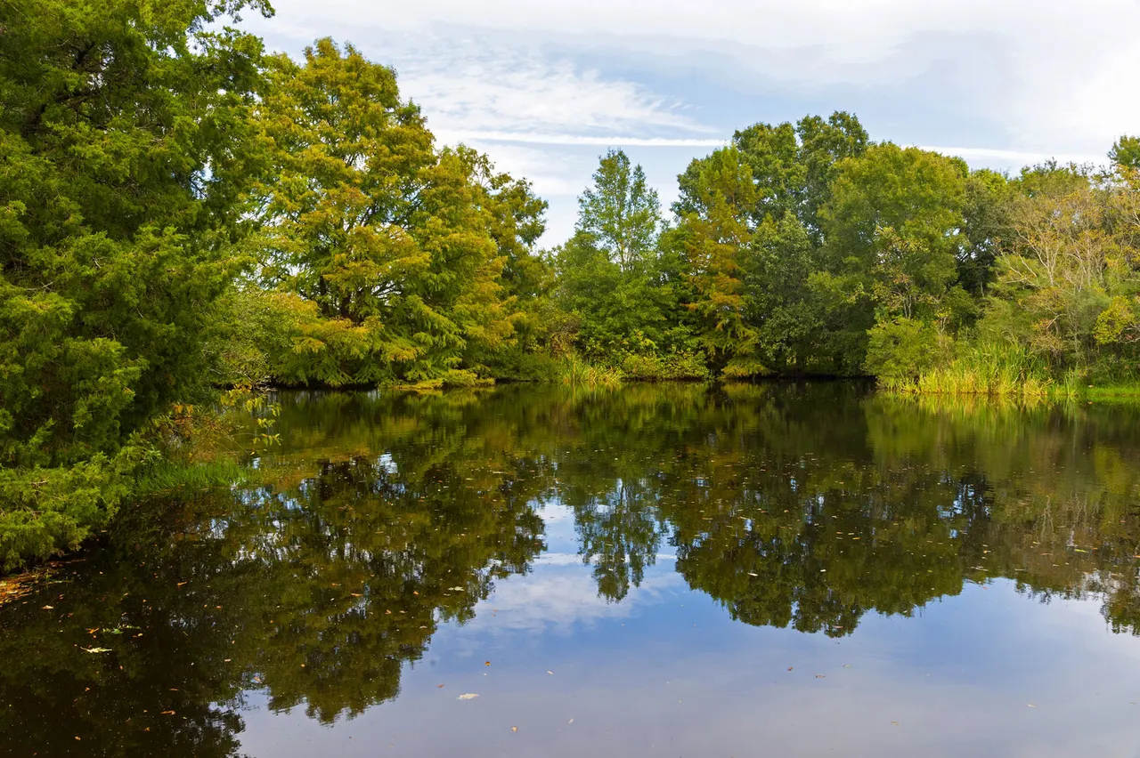 Park at Armand Bayou