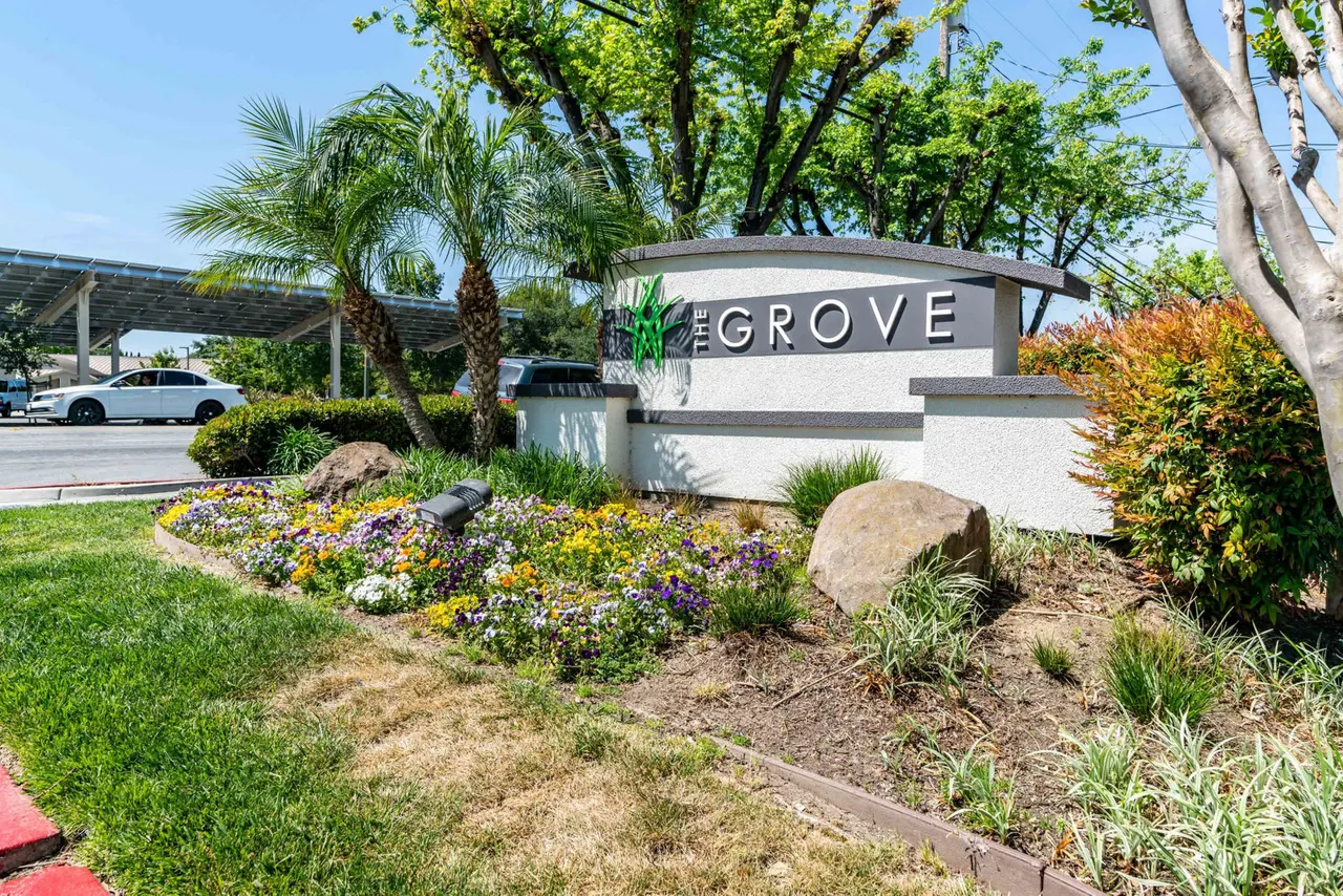 The Grove