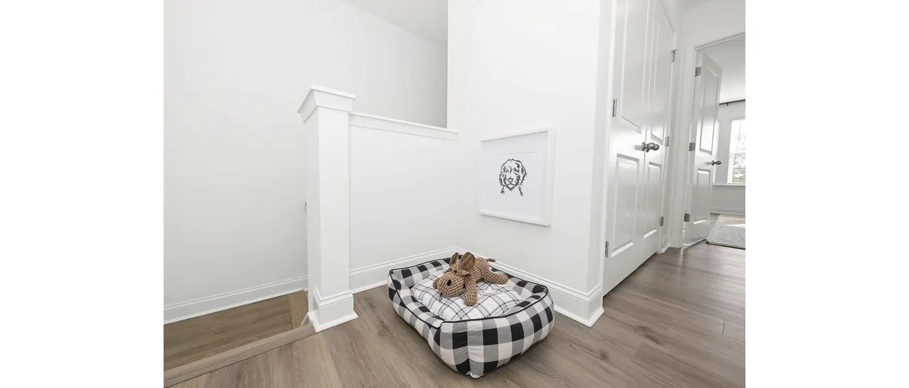 Affinity at Hudson Townhomes
