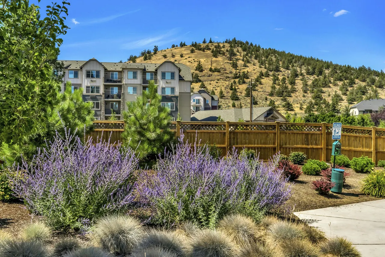 Pilot Butte Rehab