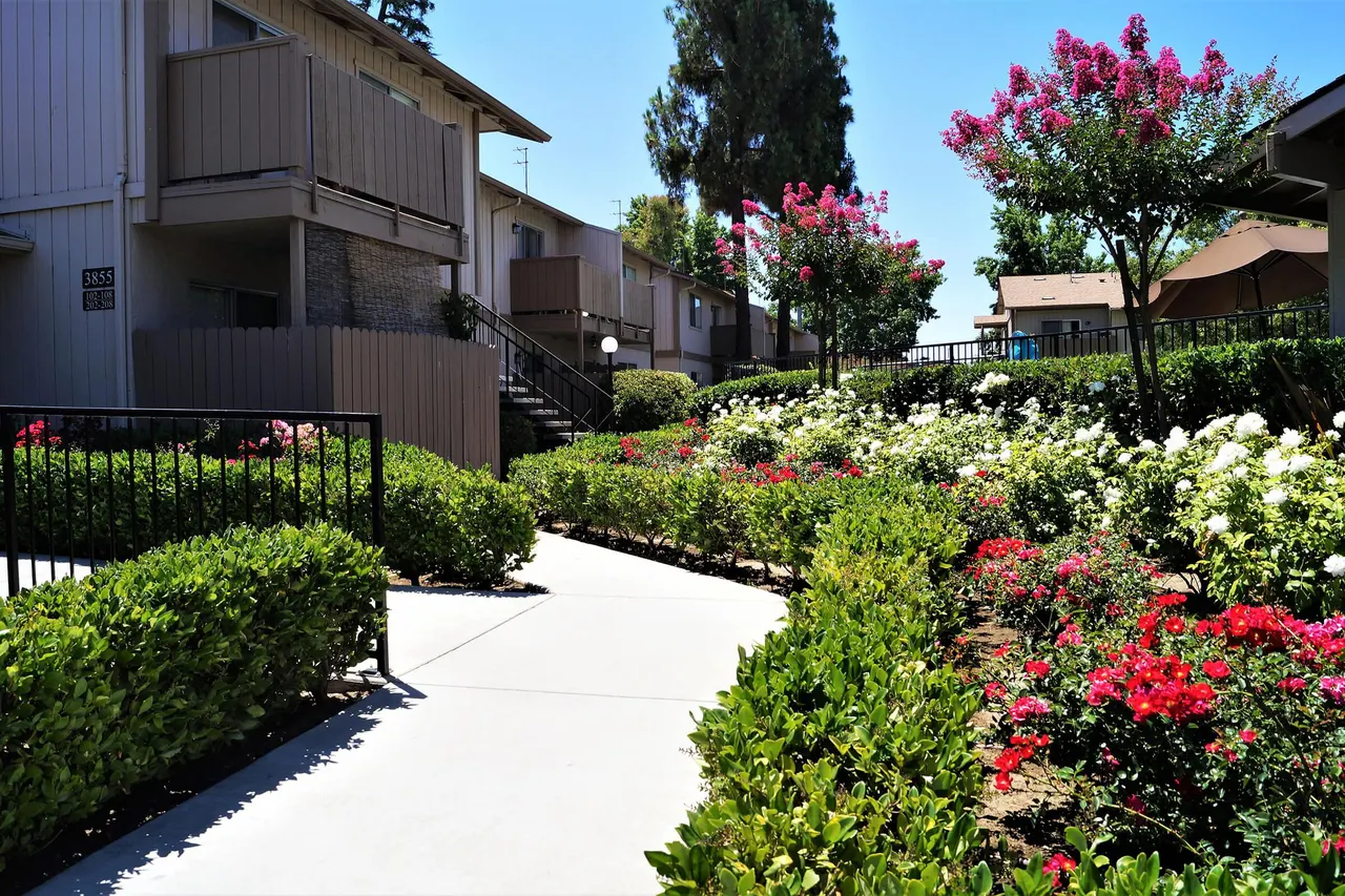 Valley View